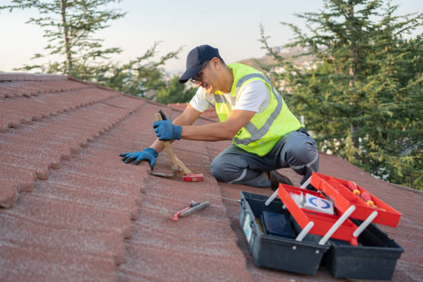 Best Storm Damage Roof Repair  in Northport, AL